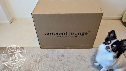 ambientlounge_pet-lounge
