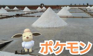 台湾ポケモンまとめ